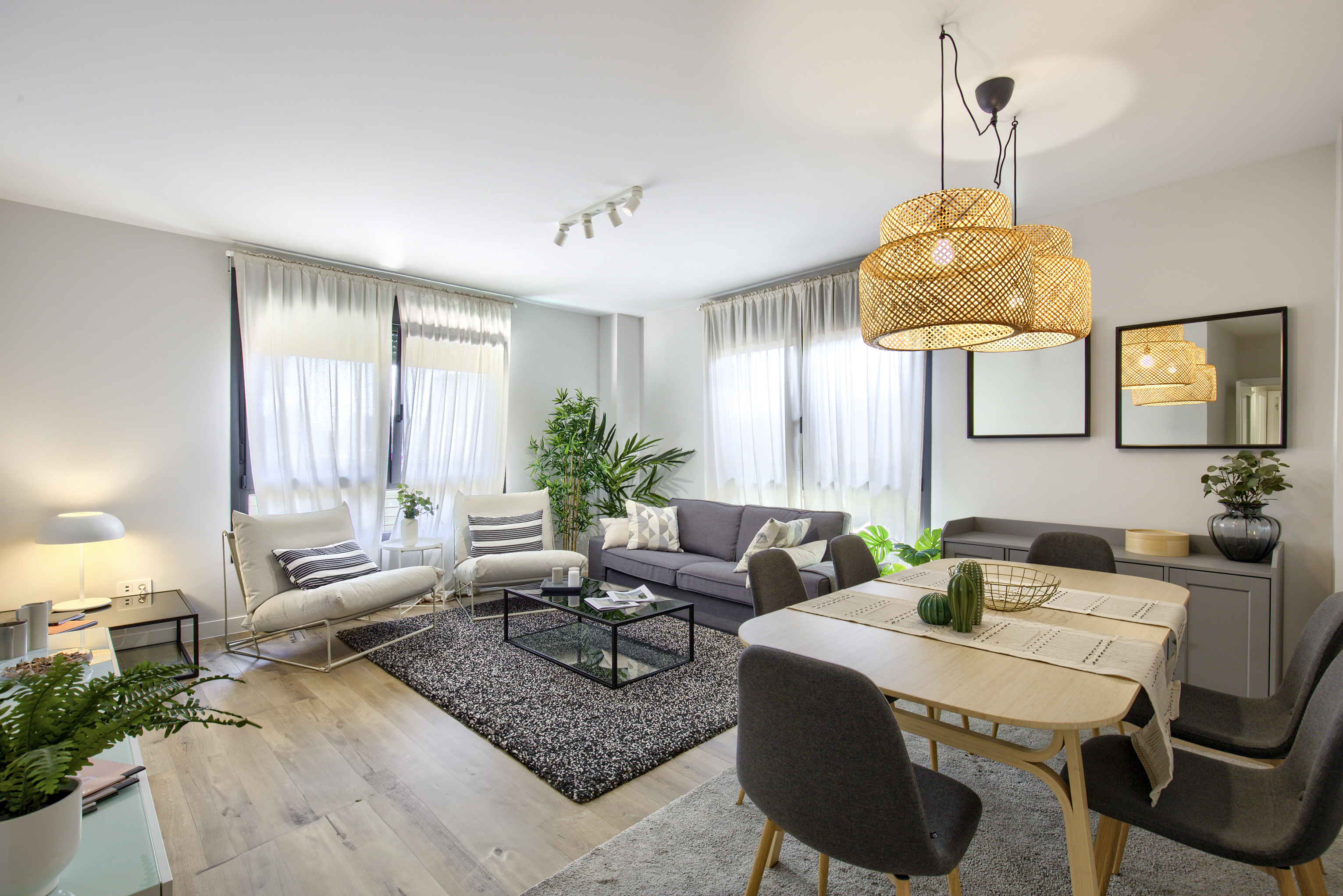 Vega Homes